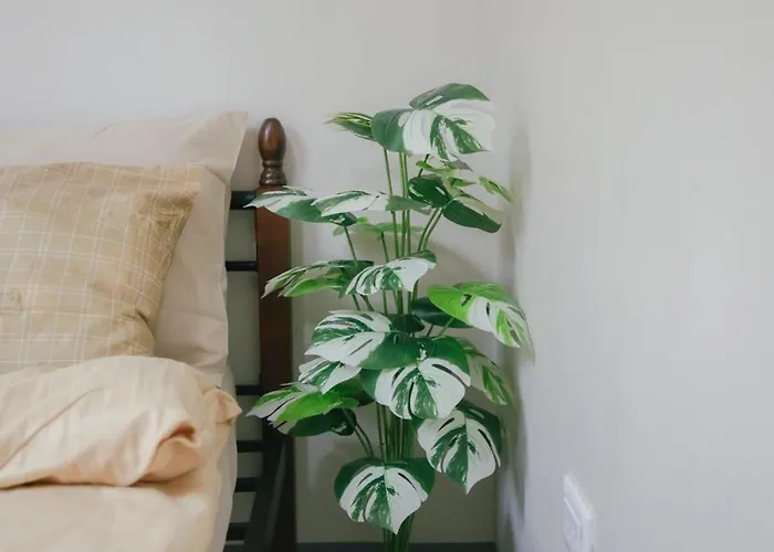 M&b Urban Haven Apartment Suba Basbas